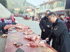 四川南充阆中市市